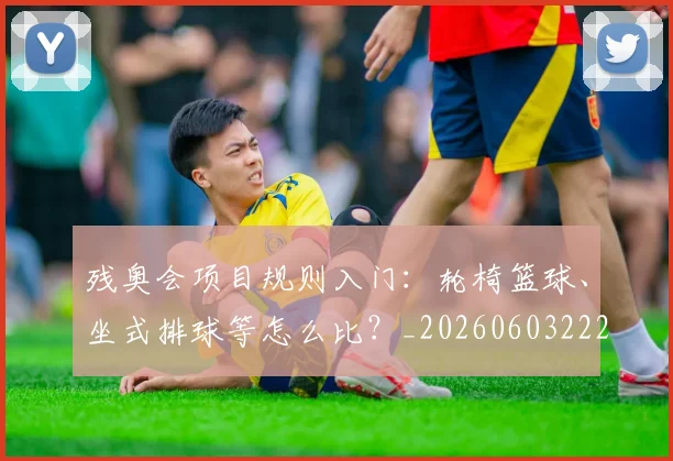 残奥会项目规则入门:轮椅篮球、坐式排球等怎么比?_20260603222626