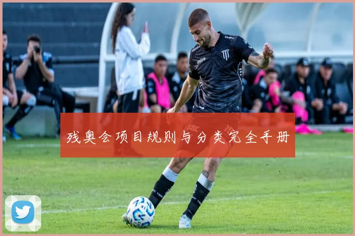 残奥会项目规则与分类完全手册