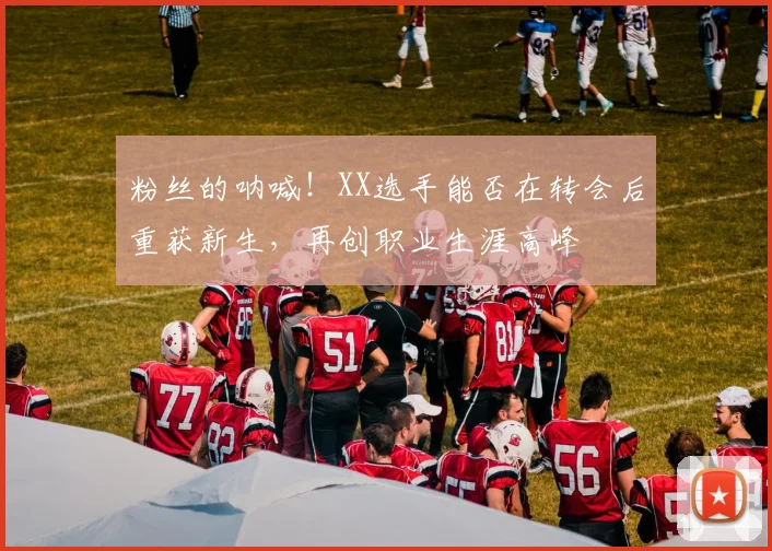 粉丝的呐喊！XX选手能否在转会后重获新生，再创职业生涯高峰