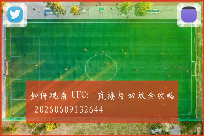 如何观看 UFC：直播与回放全攻略_20260609132644